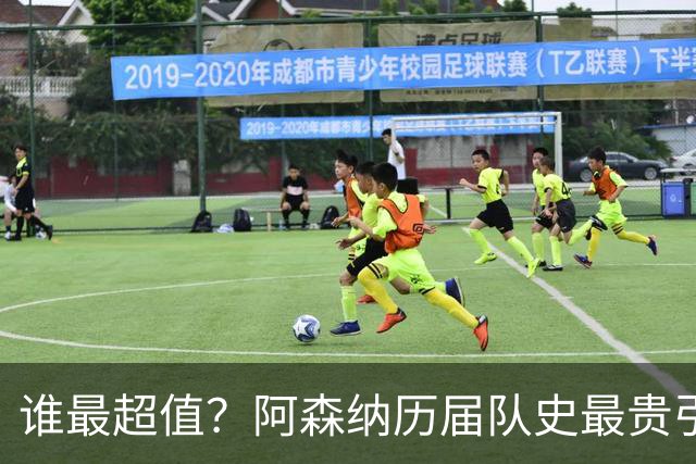 谁最超值？阿森纳历届队史最贵引援实力对比
